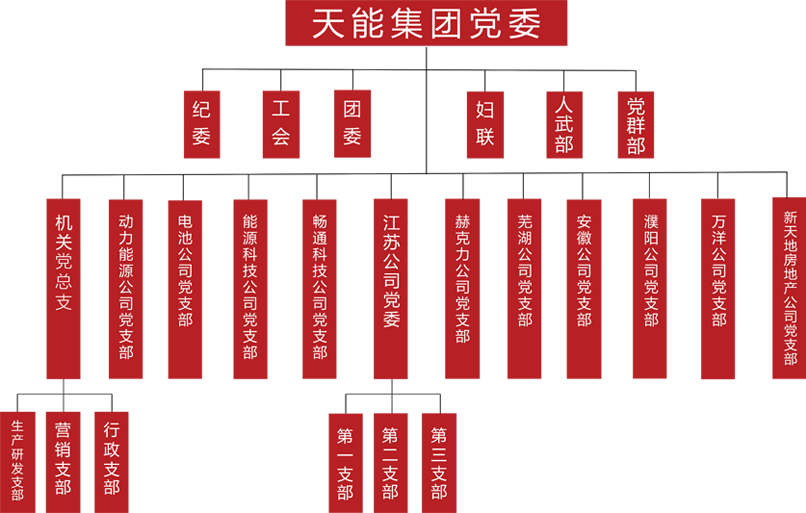 鼎博建团党委组织架构